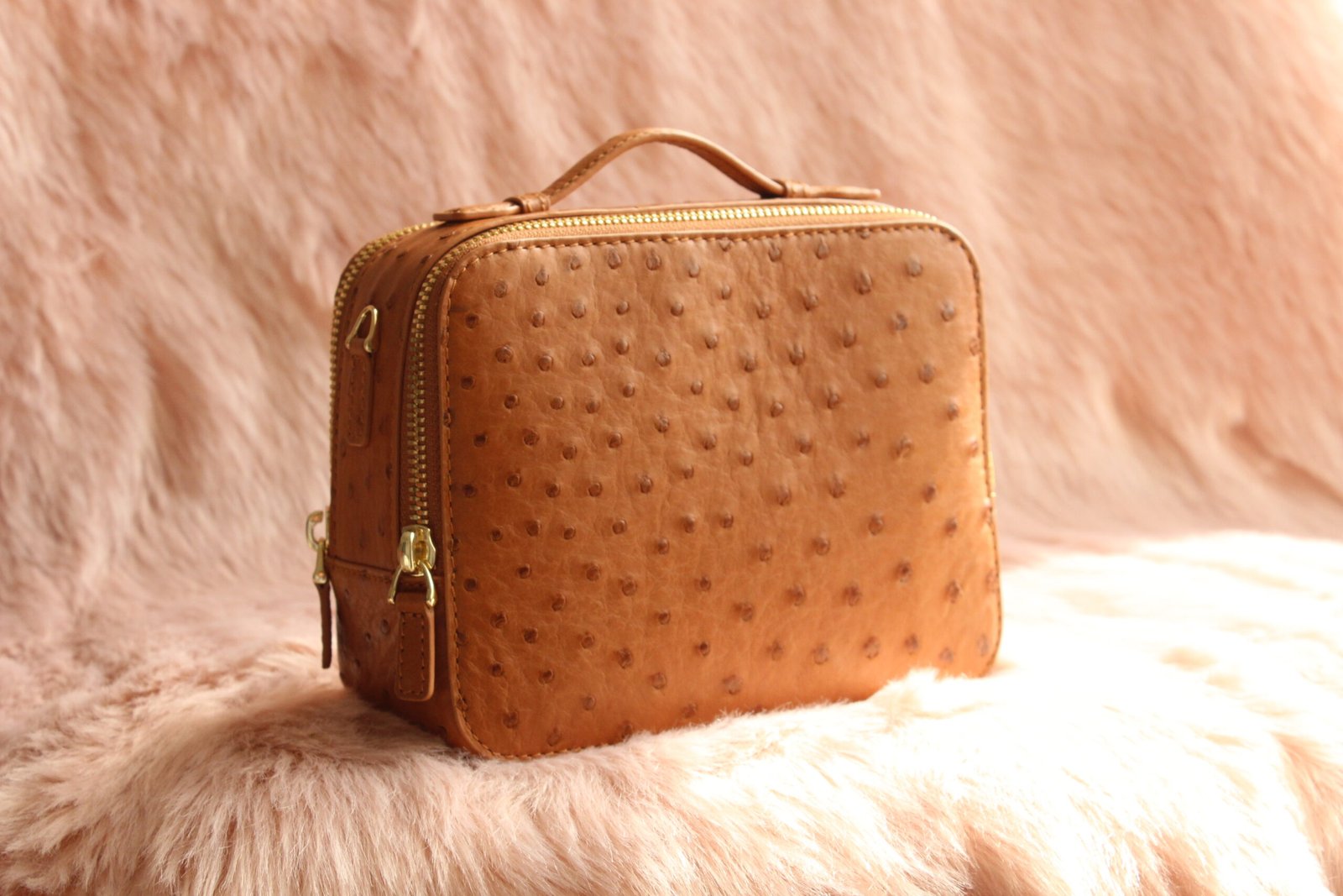 Photo 13-01-2023, 2 44 52 PM