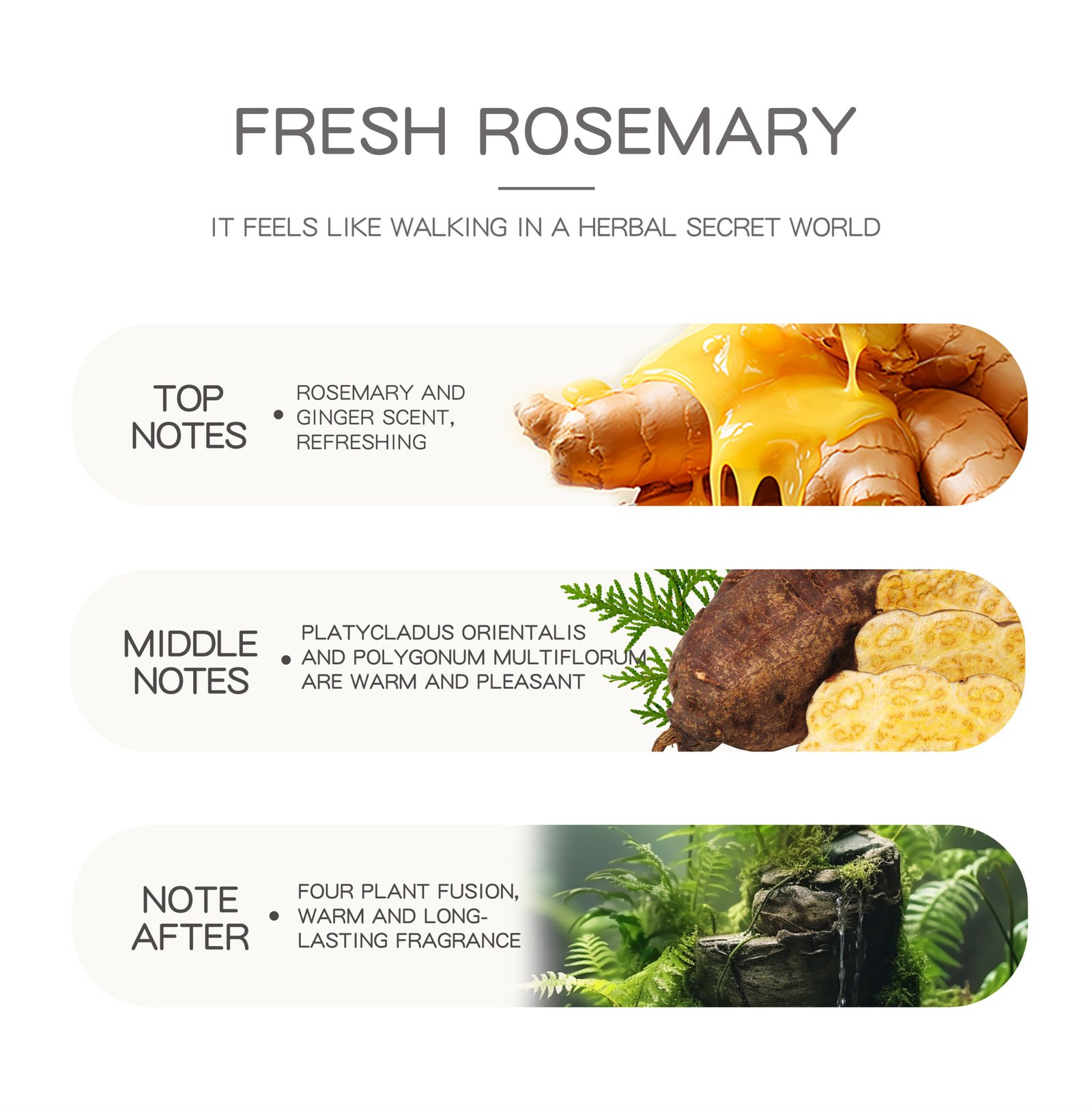 b761a38bbfd03875515b1e91a7e50bee (1)