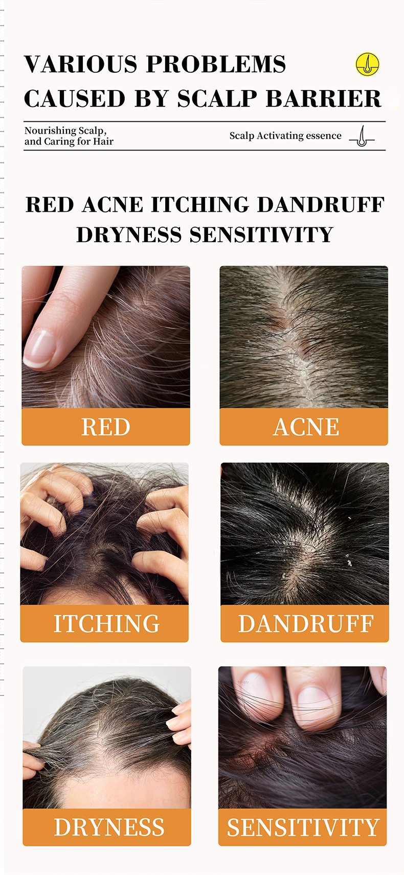 微信图片_20241107144949