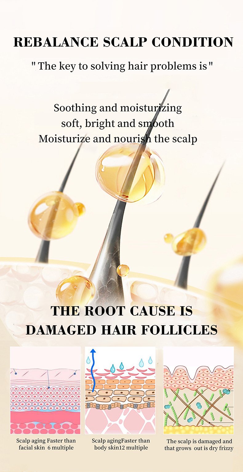 微信图片_20241107144954