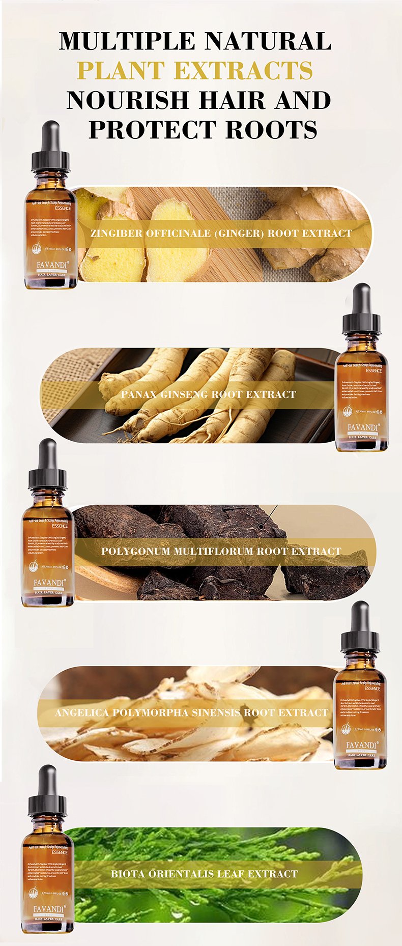 微信图片_20241107145002